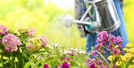 Efficient Landscape Watering Guide